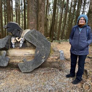 Alishan, maybe Mary remembers what this is