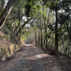 Country path around the tea house