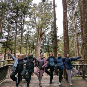 Female power in front of the Thousand Year Cypress