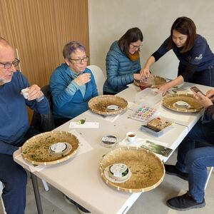 More tea sampling after the hard work of rolling is done